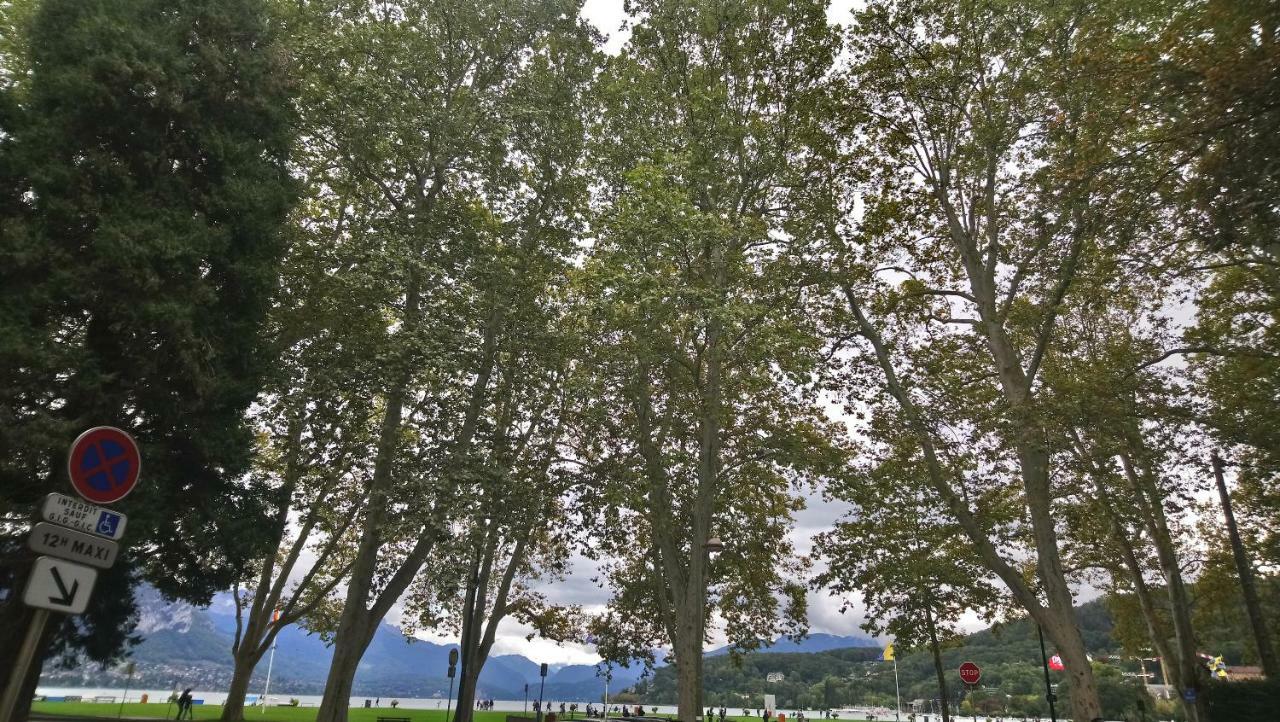 Residence Albigny Studio Vue Sur Lac Centre-Ville D'Annecy Bagian luar foto